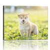 Personalized Canvas with Pictures Print for Wall Art