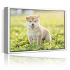 Personalized Canvas with Pictures Print for Wall Art