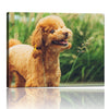 Personalized Canvas with Pictures Print for Wall Art