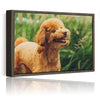 Personalized Canvas with Pictures Print for Wall Art