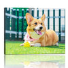 Personalized Canvas with Pictures Print for Wall Art